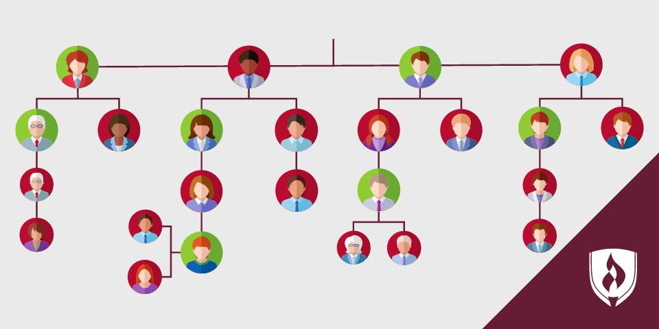 illustration of an organizational chart