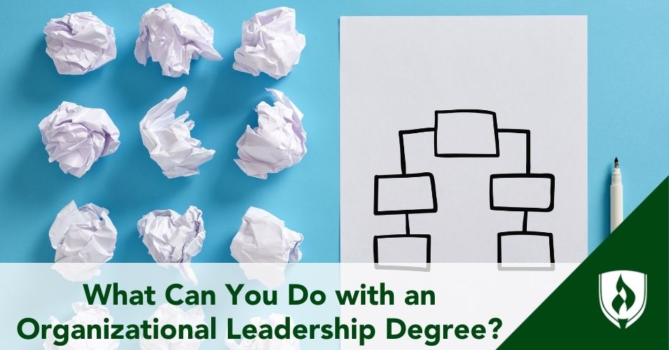 organizational leadership schematic