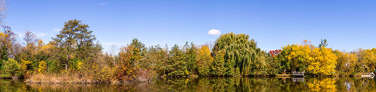 Illinois water with trees landscape photo